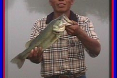 pond_bass1