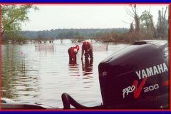 lake_conroe_aquatic_habitat_restoration