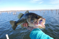 texas-bass-fishing-guide-2007-3
