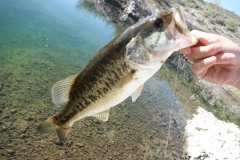 texas-bass-fishing-guide-2015-3