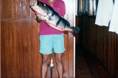 rio_negro_guide_peacock_5