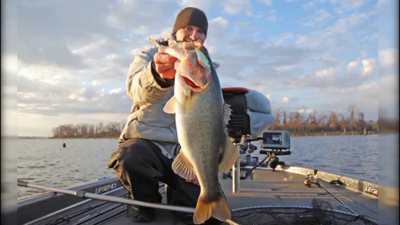 Prespawn bass at Lake Thurmond present South Carolina anglers with