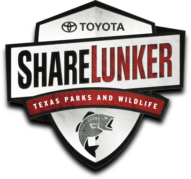 Marine Creek Lake produces second 13 pound or larger Toyota ShareLunker since 2017