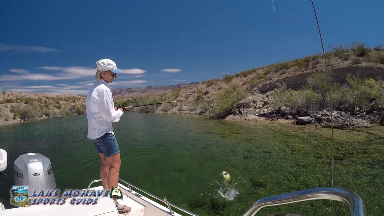 A Texas Fishing Guide Smallmouth Bass Fishing Lake Mohave Arizona