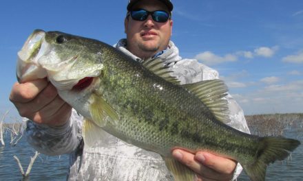 Texas Bass Fishing Guide