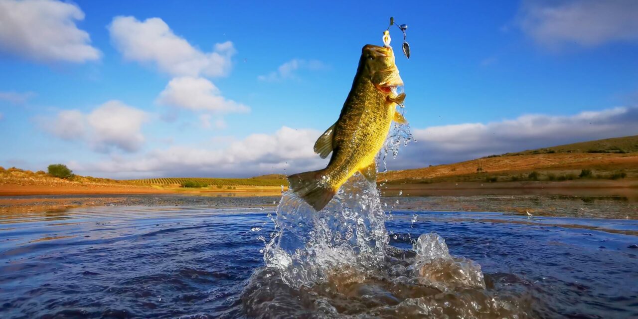 Bass Fishing at Sam Rayburn Reservoir: A Journey of Patience, Skill, and Nature’s Beauty