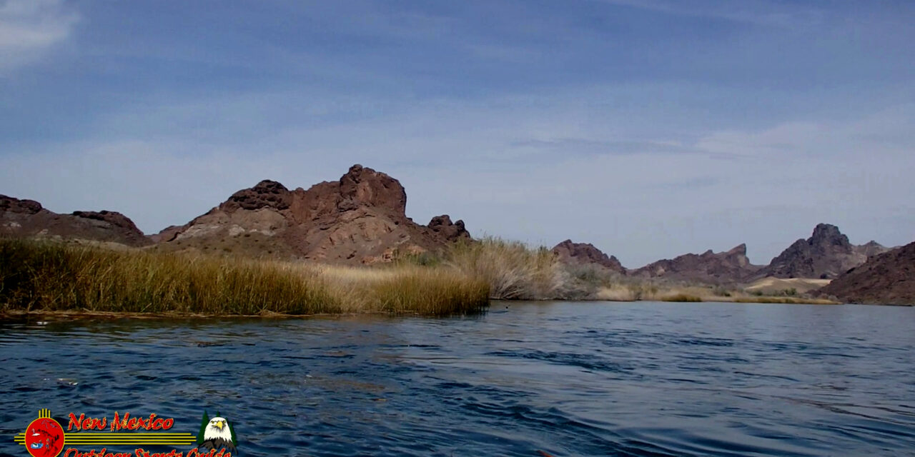 How to Hire a Good Texas Bass Fishing Guide