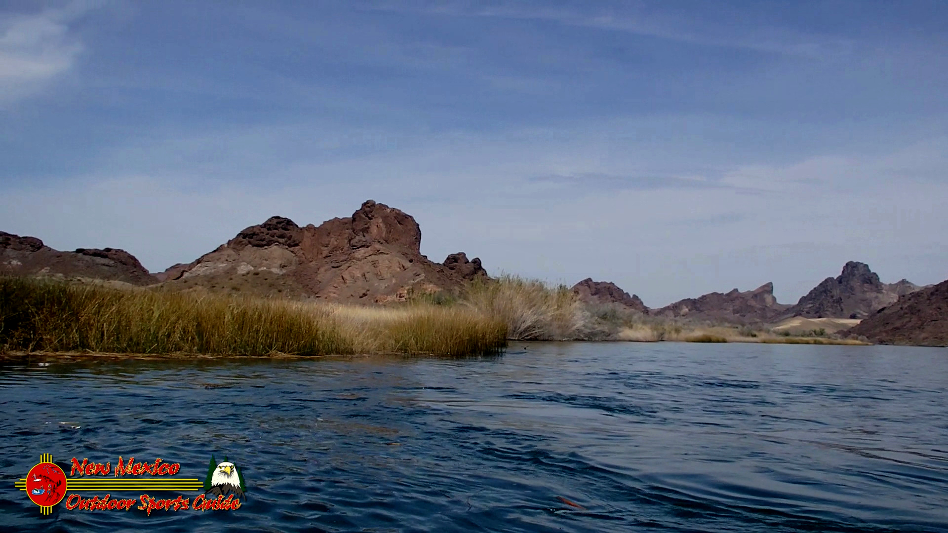 Texas Bass Fishing Guide