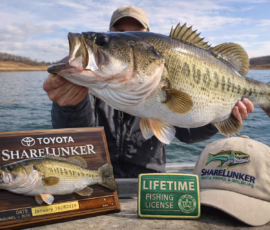 OH Ivie Texas Bass Fishing Lunker
