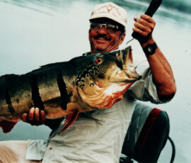 2019 Texas Fishing Guide Photos 11 25_lb_peacock_bass_rio_negro_brazil