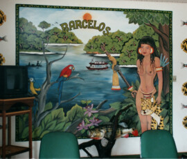 2019 Texas Fishing Guide Photos 51 amazon_river_manaus_brazil_airport_mural