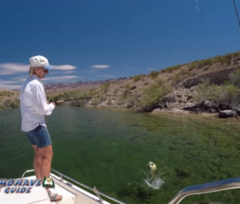 Texas Bass Fishing Photos 1 Bass-Fishing-Lake-Mohave-Arizona
