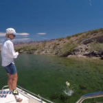 Bass-Fishing-Lake-Mohave-Arizona