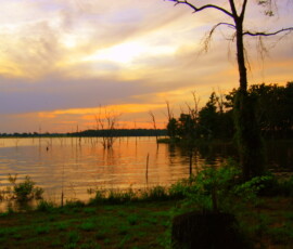 2019 Texas Fishing Guide Photos 3 lake-fork