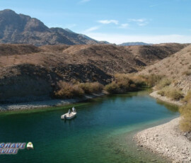 Texas Bass Fishing Photos 6 Lake-Mohave-Bass-Fishing-11-13-2019-Copy