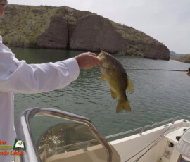 Texas Bass Fishing Photos 7 Lake-Mohave-Bass-Fishing-Anafi-03-31-2020