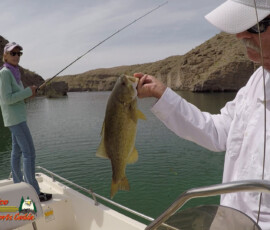 2019 Texas Fishing Guide Photos 8 Lake-Mohave-Bass-Fishing-Anafi-Minn-Kota-Columbia-04-16-2020-Copy