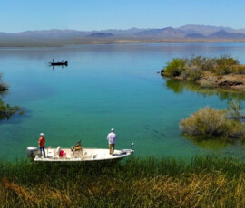 2019 Texas Fishing Guide Photos 9 EE6EBC4EB54EF2E4AE3CC4BD1F9AFA8F