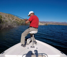 Texas Bass Fishing Photos 10 Lake-Mohave-Wuhan-Pandemic-Social-Distancing-Hero5-04-16-2020-GP011463