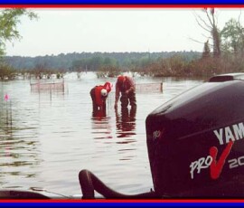 2019 Texas Fishing Guide Photos 19 lake_conroe_aquatic_habitat_restoration