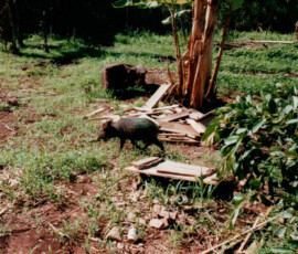 2019 Texas Fishing Guide Photos 24 peacock_bay_lodge_15