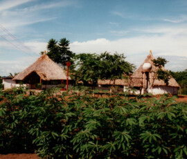 2019 Texas Fishing Guide Photos 23 peacock_bay_lodge_19