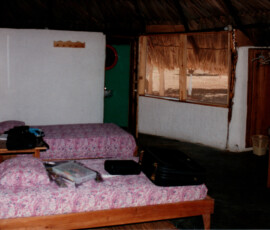 2019 Texas Fishing Guide Photos 22 peacock_bay_lodge_20