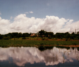 2019 Texas Fishing Guide Photos 19 peacock_bay_lodge_3