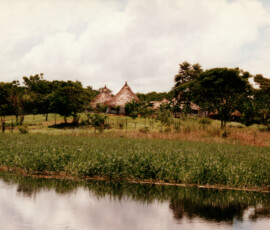 2019 Texas Fishing Guide Photos 18 peacock_bay_lodge_8