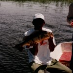 peacock_bay_lodge_guide_1