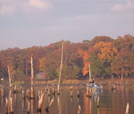 2019 Texas Fishing Guide Photos 12 picture_014