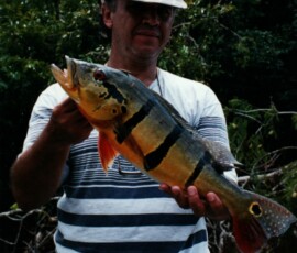 2019 Texas Fishing Guide Photos 45 renaldo_peacock