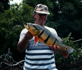 2019 Texas Fishing Guide Photos 44 renaldo_peacock_1