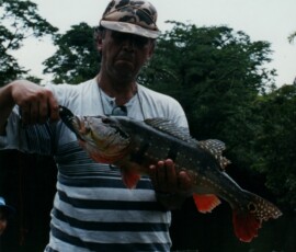 2019 Texas Fishing Guide Photos 41 renaldo_peacock_4