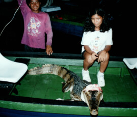 2019 Texas Fishing Guide Photos 61 rio_negro_caiman_guci_1