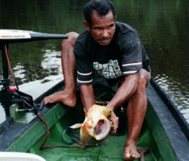 rio_negro_guide_catfish