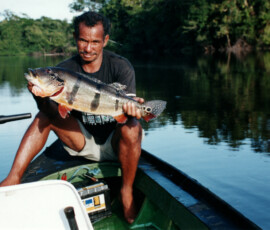 2019 Texas Fishing Guide Photos 5 rio_negro_guide_peacock