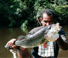 rio_negro_guide_peacock_1
