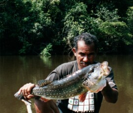 2019 Texas Fishing Guide Photos 3 rio_negro_guide_peacock_2