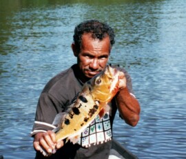 rio_negro_guide_peacock_4