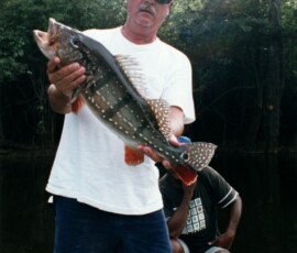 2019 Texas Fishing Guide Photos 23 rio_negro_pat_peacock_11