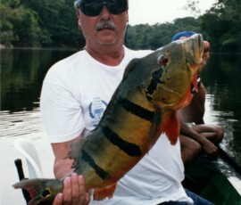 rio_negro_pat_peacock_13