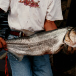 rio_paragua_payara_fishing_38