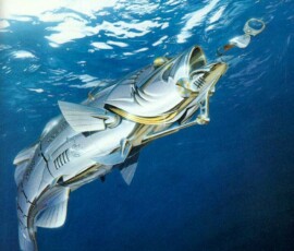 2019 Texas Fishing Guide Photos 8 robo_bass