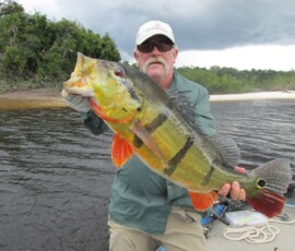 2019 Texas Fishing Guide Photos 1 Texas-Bass-Fishing-2022-3