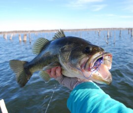 2019 Texas Fishing Guide Photos 2 texas-bass-fishing-guide-2007-3