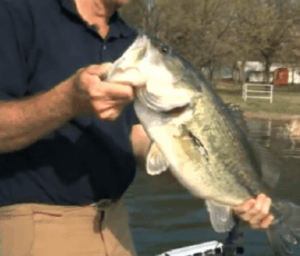 2019 Texas Fishing Guide Photos 2 texas-bass-fishing-guide-2012-1
