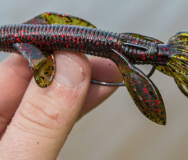 2019 Texas Fishing Guide Photos 3 texas-bass-fishing-guide-2013-3