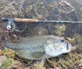 2019 Texas Fishing Guide Photos 7 texas-bass-fishing-guide-2016-3