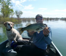 2019 Texas Fishing Guide Photos 13 texas-bass-fishing-guide-2016-9